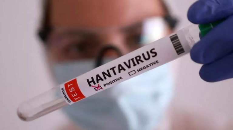 Desmienten rumores sobre el Hantavirus en Venezuela: Conoce la verdad sobre los casos en Barinas y Anzoátegui